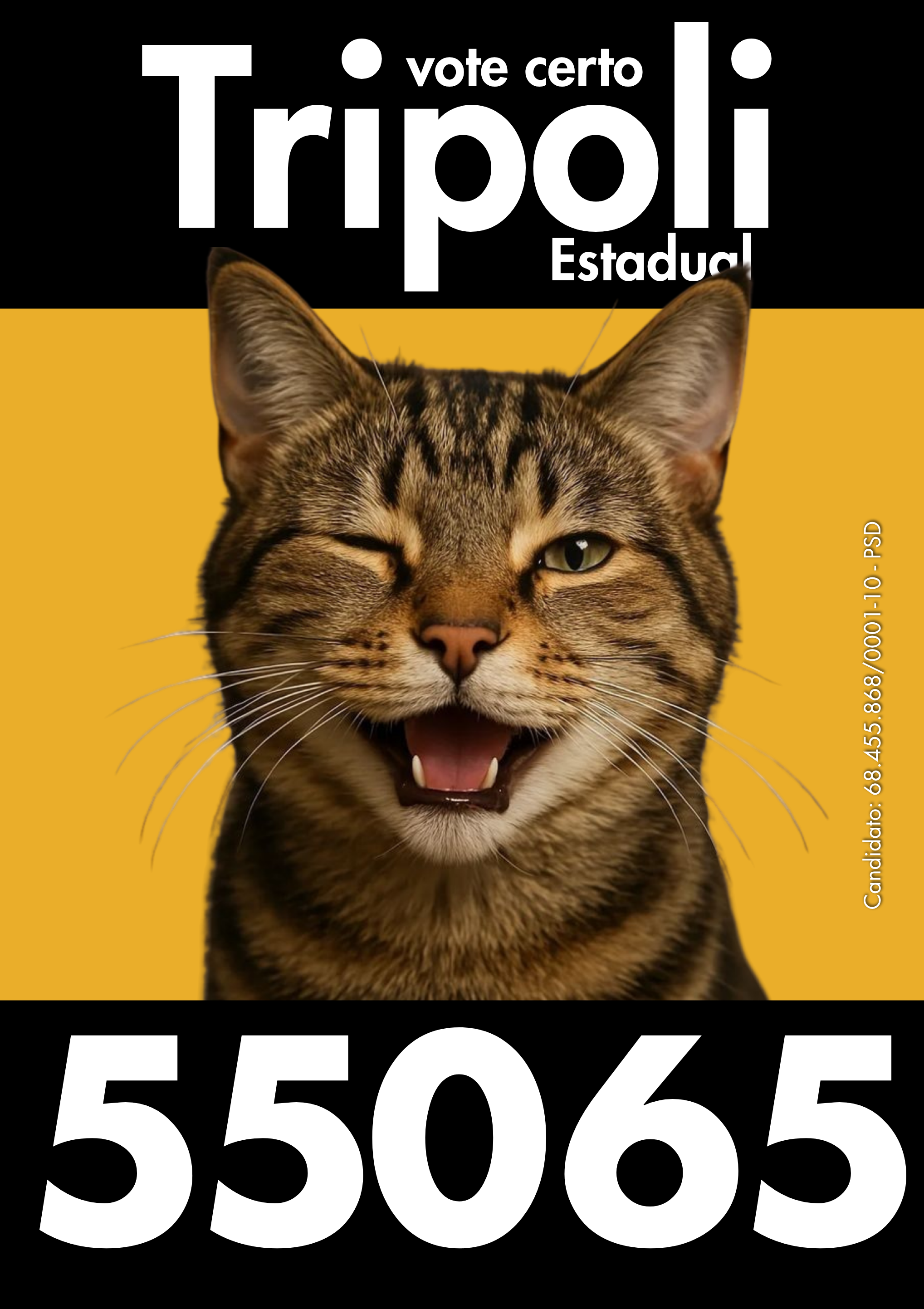 Cédula Tripoli 55065 — 3.png
