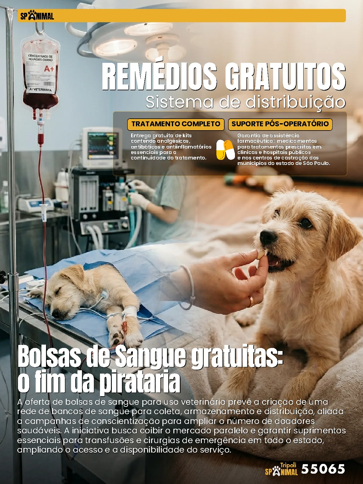 Página 5 da Revista Digital Tripoli 2026