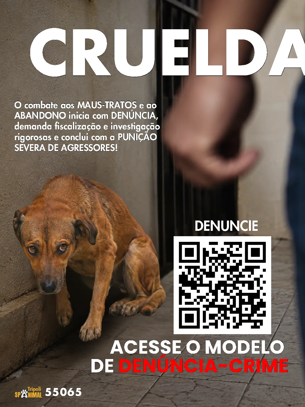 Página 6 da Revista Digital Tripoli 2026