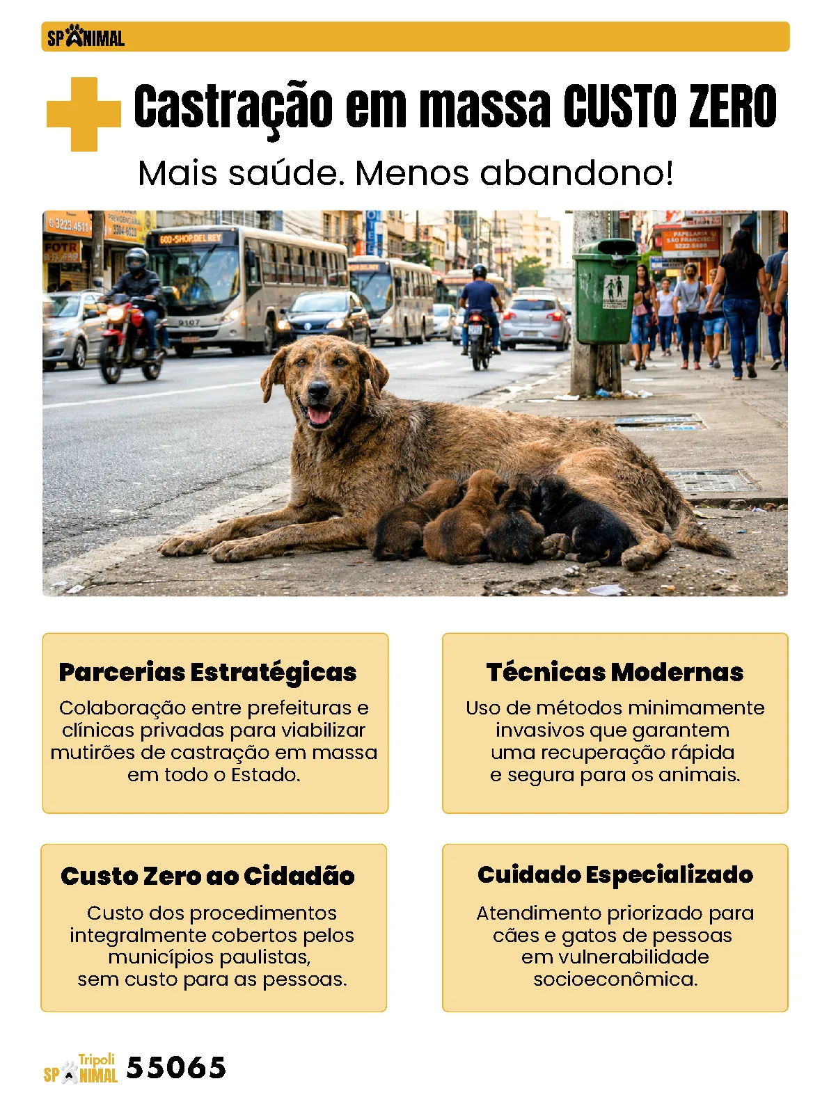 Página 8 da Revista Digital Tripoli 2026