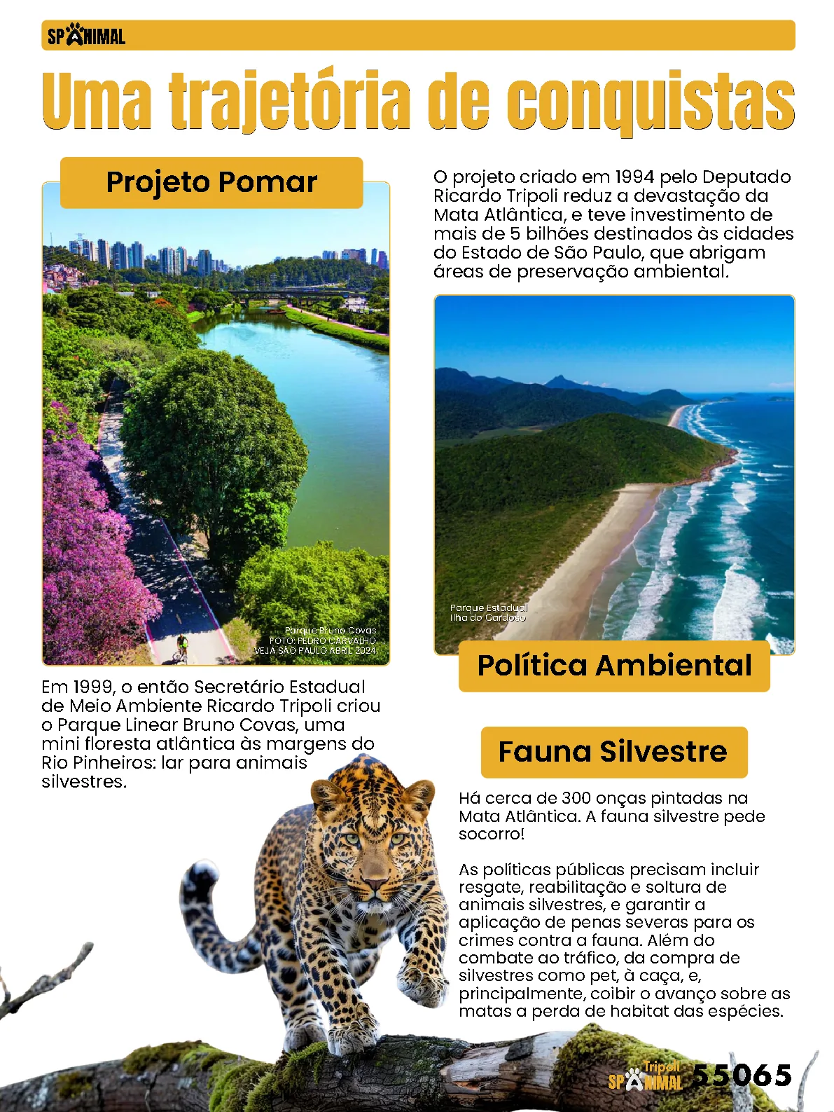 Página 9 da Revista Digital Tripoli 2026
