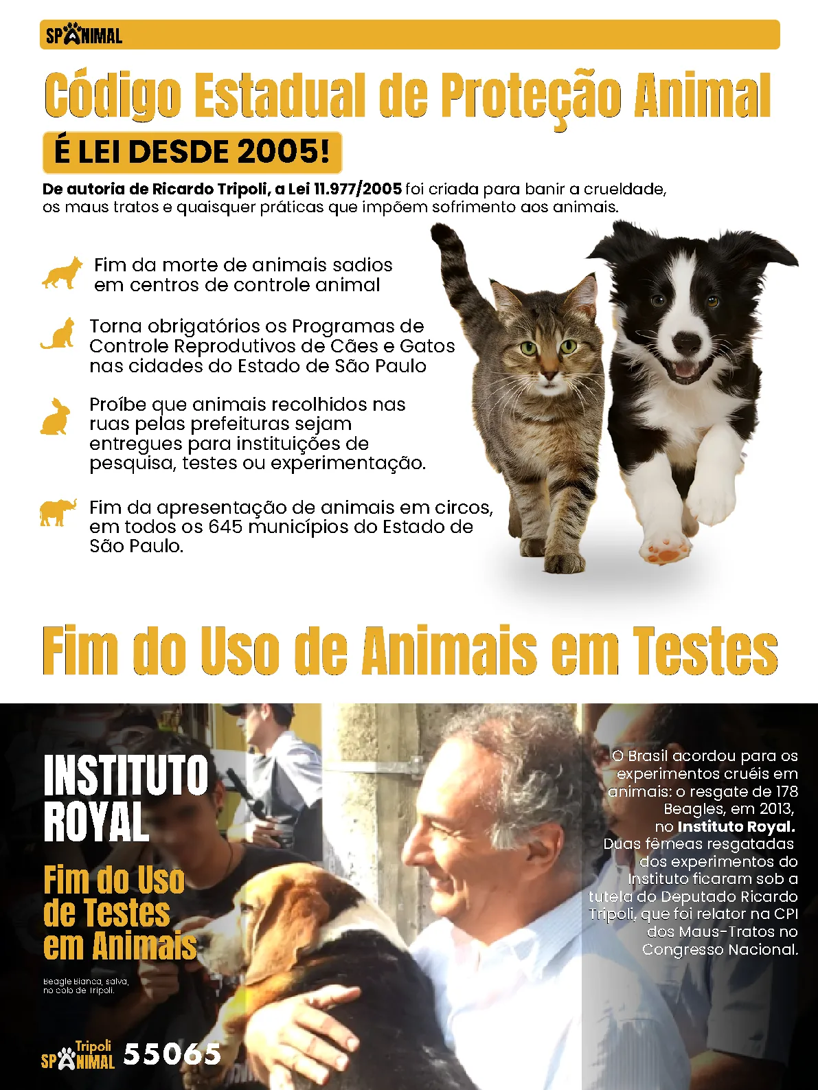 Página 10 da Revista Digital Tripoli 2026