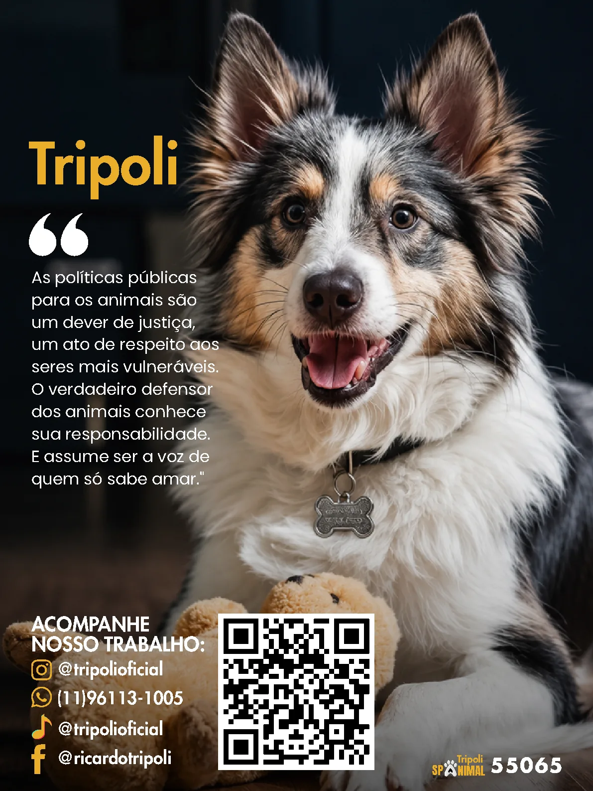 Página 11 da Revista Digital Tripoli 2026